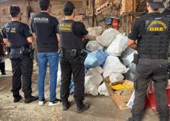 PF incinera mais de 1,3 tonelada de drogas em Rondônia