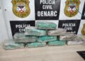 DENARC apreende 10 quilos de skunk durante operação na zona Sul