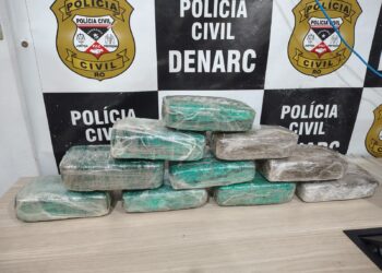 DENARC apreende 10 quilos de skunk durante operação na zona Sul