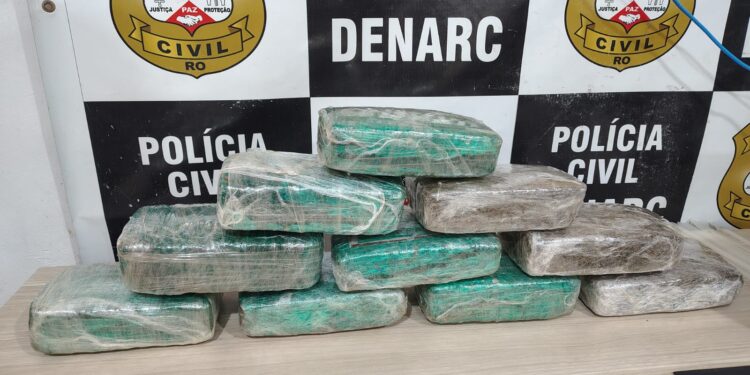 DENARC apreende 10 quilos de skunk durante operação na zona Sul