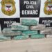 DENARC apreende 10 quilos de skunk durante operação na zona Sul