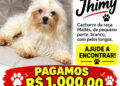PAGO R$1.000,00 para quem localizar Jhimy
