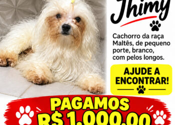 PAGO R$1.000,00 para quem localizar Jhimy
