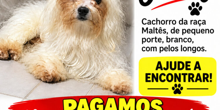 PAGO R$1.000,00 para quem localizar Jhimy