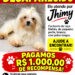 PAGO R$1.000,00  para quem localizar Jhimy