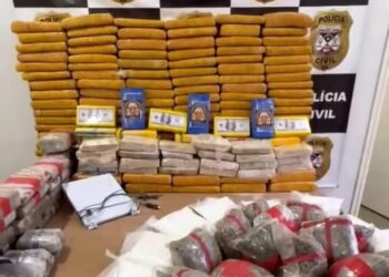 POLÍCIA CIVIL DE RONDÔNIA APREENDE APROXIMADAMENTE 244 KG DE DROGAS EM NOVA MAMORÉ