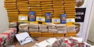 POLÍCIA CIVIL DE RONDÔNIA APREENDE APROXIMADAMENTE 244 KG DE DROGAS EM NOVA MAMORÉ