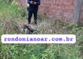 IDENTIFICAÇÃO PAPILOSCÓPICA DA POLÍCIA CIVIL PERMITE RECONHECIMENTO RÁPIDO DE CORPO CARBONIZADO NO IML