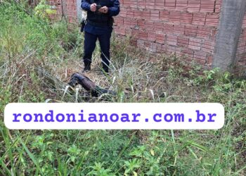IDENTIFICAÇÃO PAPILOSCÓPICA DA POLÍCIA CIVIL PERMITE RECONHECIMENTO RÁPIDO DE CORPO CARBONIZADO NO IML