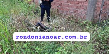 Corpo carbonizado com as mãos amarradas é encontrado na Zona Leste de Porto Velho