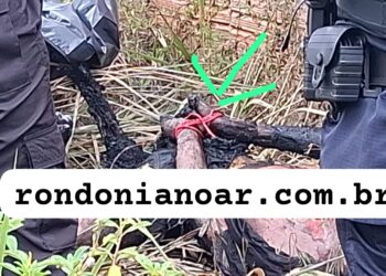 SEM IDENTIFICAÇÃO:Vítima é encontrada morta, carbonizada e com as mãos amarradas em matagal de Porto Velho