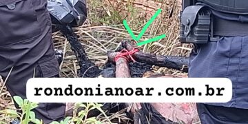 SEM IDENTIFICAÇÃO:Vítima é encontrada morta, carbonizada e com as mãos amarradas em matagal de Porto Velho