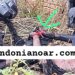 SEM IDENTIFICAÇÃO:Vítima é encontrada morta, carbonizada e com as mãos amarradas em matagal de Porto Velho