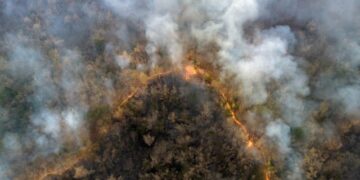 Queimadas na Amazônia acendem alerta para a saúde respiratória da população