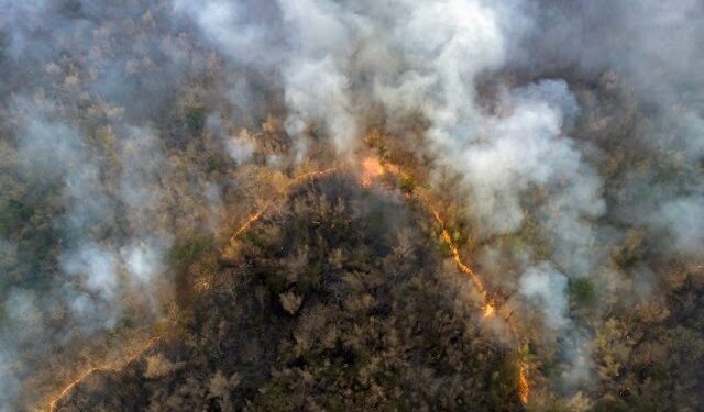 Queimadas na Amazônia acendem alerta para a saúde respiratória da população