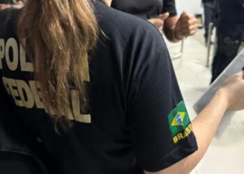 PF faz operação contra o comércio ilegal de armas de fogo e munições