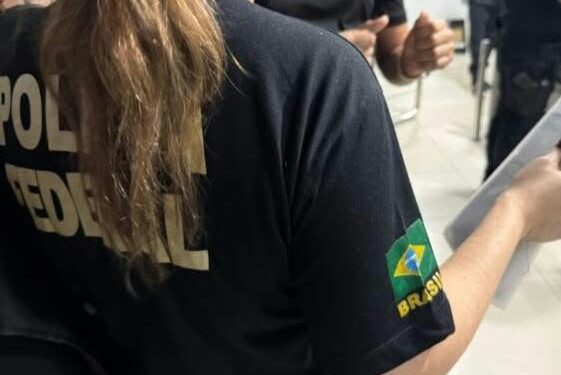 PF faz operação contra o comércio ilegal de armas de fogo e munições
