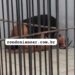 Mulher é presa suspeita de tráfico de drogas no bairro Socialista, em Porto Velho