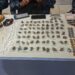Operação da PM prende suspeitos e apreende drogas em Porto Velho