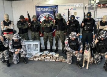 Operação Protetor registra R$ 110 mil em prejuízo econômico para o crime organizado