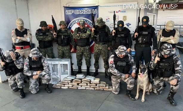 Operação Protetor registra R$ 110 mil em prejuízo econômico para o crime organizado