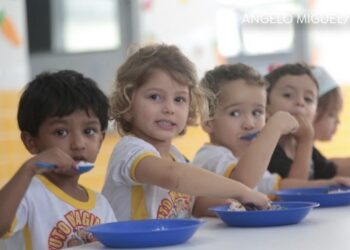 Dia Nacional da Alimentação Escolar: conheça normas que orientam refeições das escolas públicas