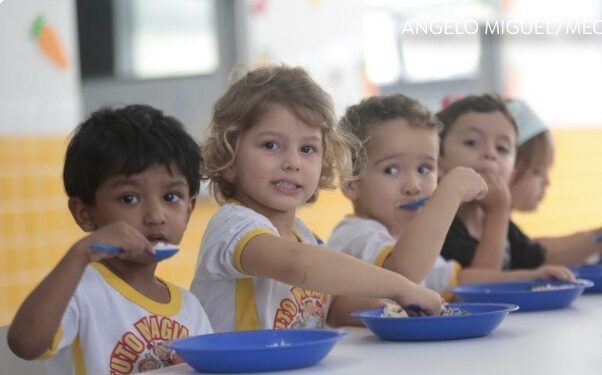Dia Nacional da Alimentação Escolar: conheça normas que orientam refeições das escolas públicas