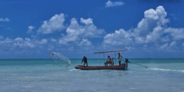 Pesca Artesanal: seleção pública vai destinar R$ 120 milhões para projetos de inovação