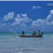 Pesca Artesanal: seleção pública vai destinar R$ 120 milhões para projetos de inovação