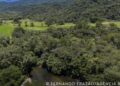 Brasil diminui em 43% área de vegetação nativa fragmentada