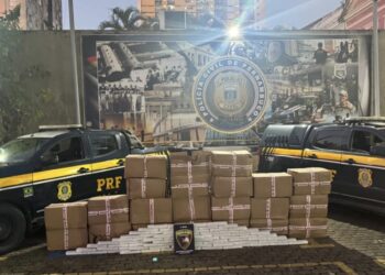 PRF e Denarc apreendem cerca de uma tonelada de maconha em caminhão com equipamentos de academia