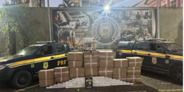 PRF e Denarc apreendem cerca de uma tonelada de maconha em caminhão com equipamentos de academia