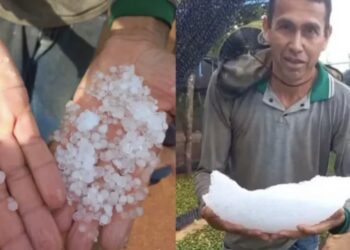 Cafeicultor mostra grande pedaço de granizo acumulado após temporal em Alto Alegre dos Parecis