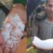 Cafeicultor mostra grande pedaço de granizo acumulado após temporal em Alto Alegre dos Parecis