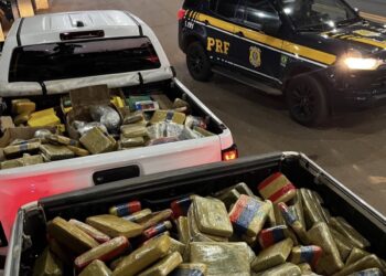 PRF apreende mais de 600 kg de drogas escondidos em caminhão na BR-364 em Rondônia