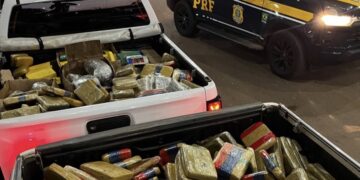 PRF apreende mais de 600 kg de drogas escondidos em caminhão na BR-364 em Rondônia
