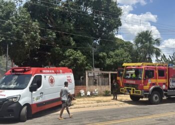 Indígena morre ao receber descarga elétrica enquanto colhia manga