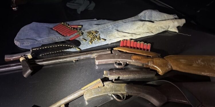 POLÍCIA AMBIENTAL APREENDE ARMAS DE FOGO E CAMINHÃO COM MADEIRA IRREGULAR DURANTE OPERAÇÃO EM VILHENA