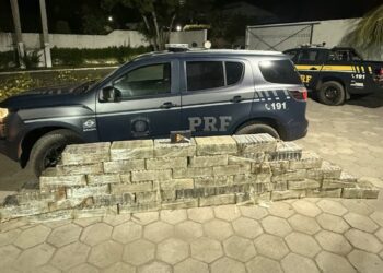 PRF apreende quase meia tonelada de cocaína durante abordagem na BR-222