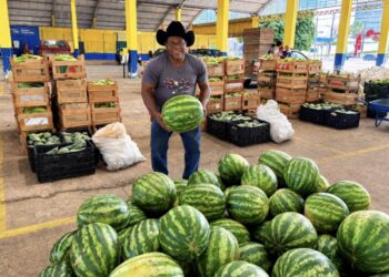 Transporte da Produção aproxima o campo do mercado em Porto Velho