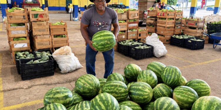 Transporte da Produção aproxima o campo do mercado em Porto Velho