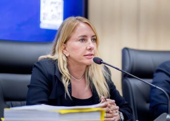 Ieda Chaves faz balanço de trabalho parlamentar que reúne R$ 61 milhões e quase 20 leis