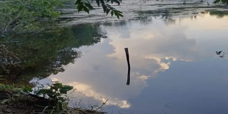 Criança de 2 anos morre após cair em represa na Linha 48, família mora em Alvorada do Oeste