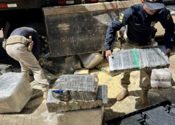 PRF apreende 2,6 ton de maconha durante fiscalização de freios em veículo de carga no Paraná