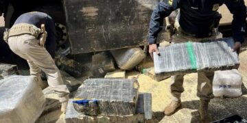 PRF apreende 2,6 ton de maconha durante fiscalização de freios em veículo de carga no Paraná