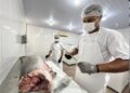 Do SIM para o Brasil: regularização abre mercado e fortalece agroindústrias de PVH