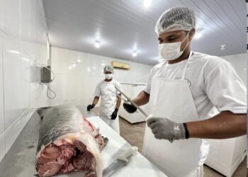 Do SIM para o Brasil: regularização abre mercado e fortalece agroindústrias de PVH