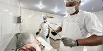 Do SIM para o Brasil: regularização abre mercado e fortalece agroindústrias de PVH
