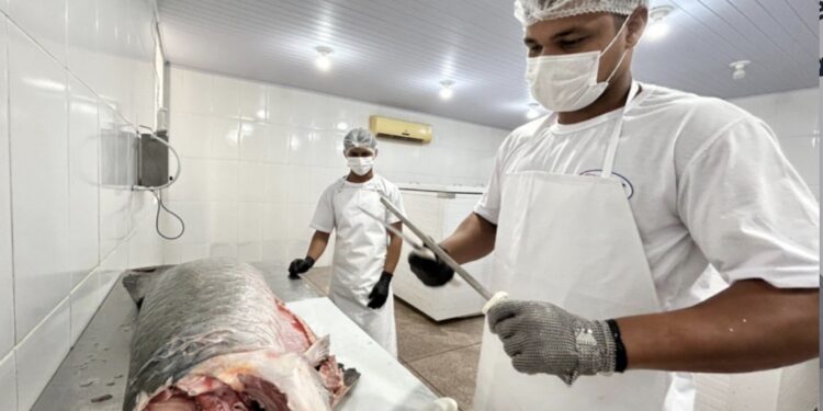 Do SIM para o Brasil: regularização abre mercado e fortalece agroindústrias de PVH