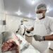 Do SIM para o Brasil: regularização abre mercado e fortalece agroindústrias de PVH